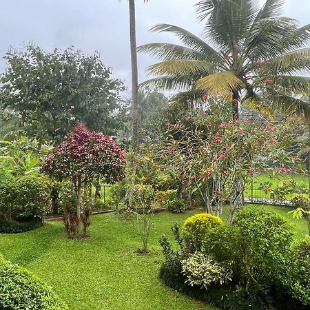 Surveyor'S Residence Bungalow Kandy Exteriér fotografie