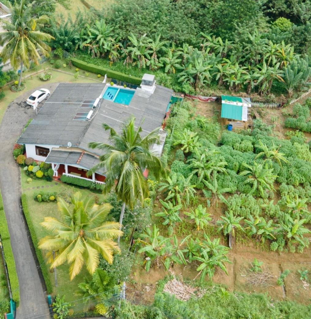 Surveyor'S Residence Bungalow Kandy Exteriér fotografie
